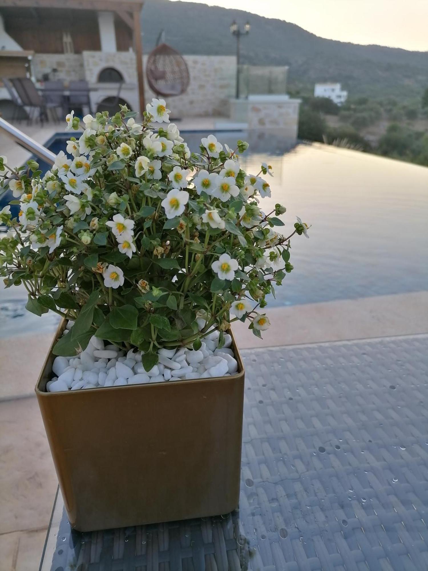 Villa Halepouri Chania  Екстер'єр фото